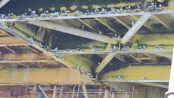 Nesting kittiwakes on the platform Nesting kittiwakes on the platform