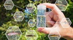 Edna Concept Edna Concept