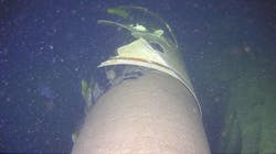 Damage to the Balticconnector pipeline was caused by the Newnew Polar Bear’s anchor, says Finnish authorities. Damage to the Balticconnector pipeline was caused by the Newnew Polar Bear’s anchor, says Finnish authorities.