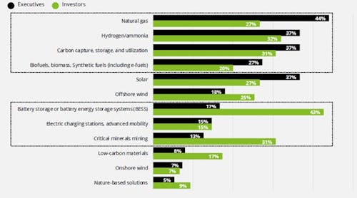 FIGURE 1. Executives and investors were asked by Deloitte, &apos;Which low-carbon fuel/technology is your organization most bulish or positive about?