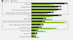 FIGURE 1. Executives and investors were asked by Deloitte, 'Which low-carbon fuel/technology is your organization most bulish or positive about?