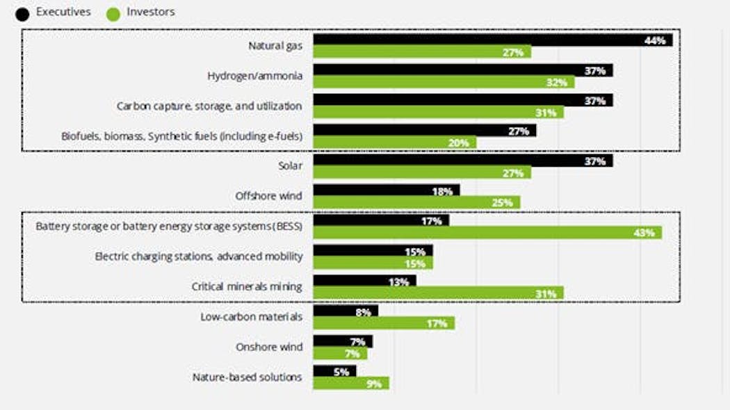 FIGURE 1. Executives and investors were asked by Deloitte, &apos;Which low-carbon fuel/technology is your organization most bulish or positive about?