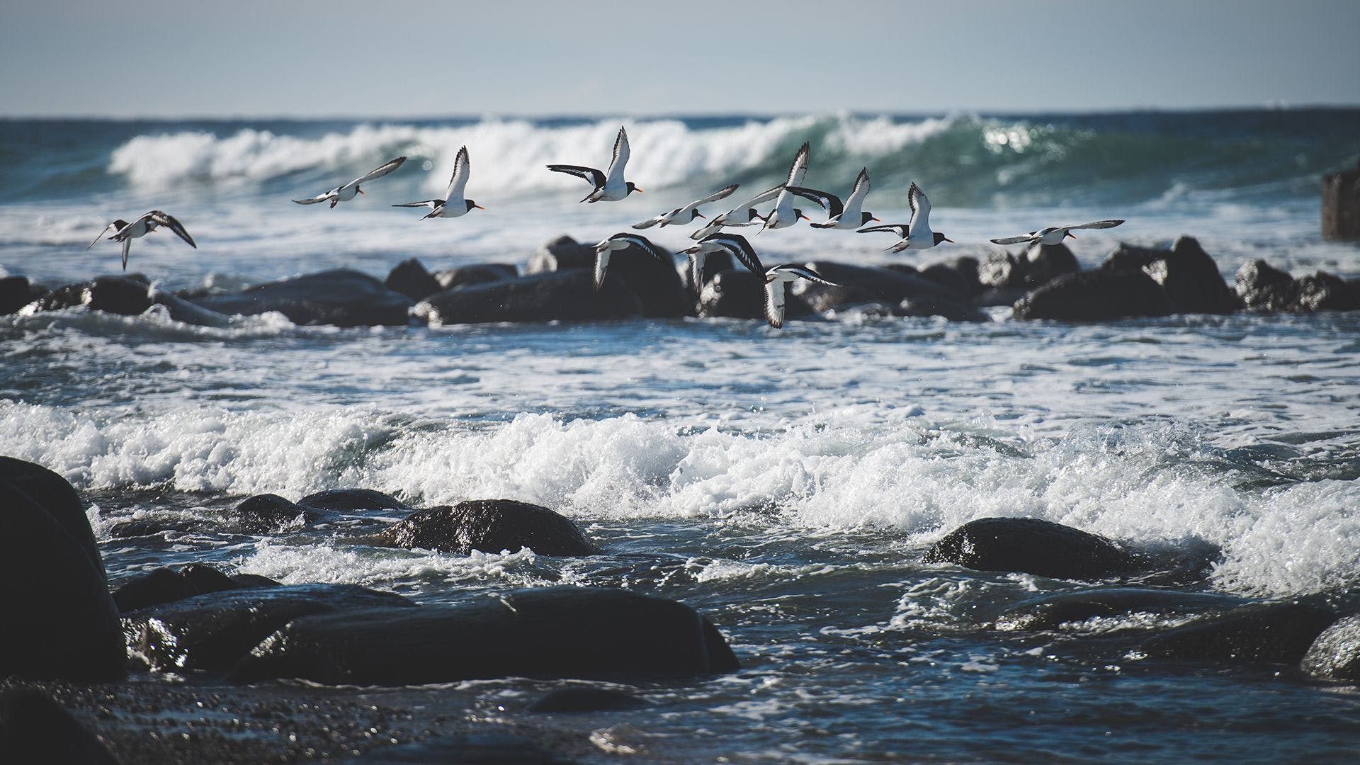 6553c1046a4519001e03eba1 Wintershall Dea