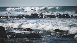 6553c1046a4519001e03eba1 Wintershall Dea 6553c1046a4519001e03eba1 Wintershall Dea