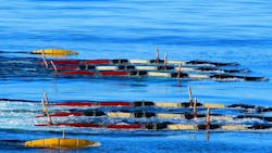 655e4651050b17001ef73539 Shearwater 655e4651050b17001ef73539 Shearwater