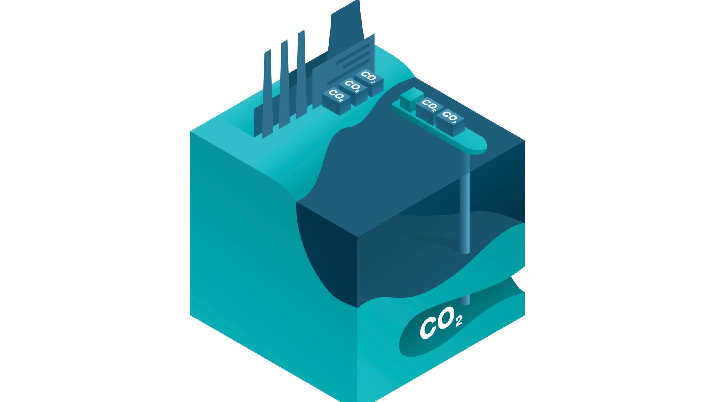 657cc1f5c4ab15001ee026d6 Ccsship