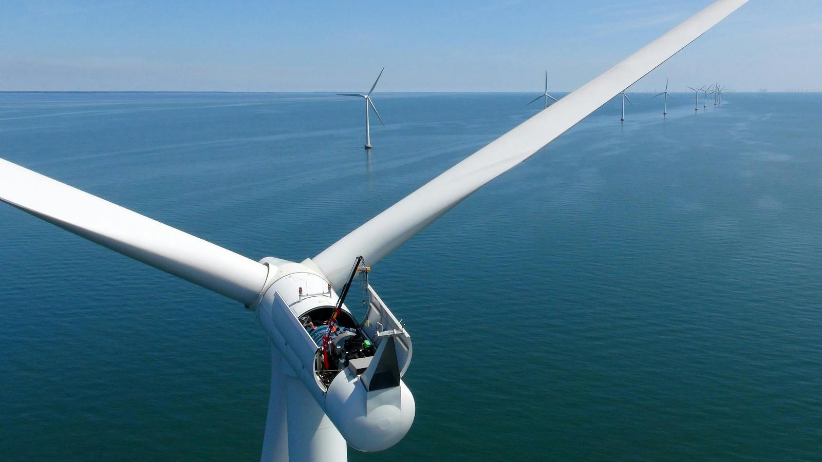 Of the companies identified in the database, 95% are small businesses and 42% have future investment plans to prepare for the offshore wind industry.