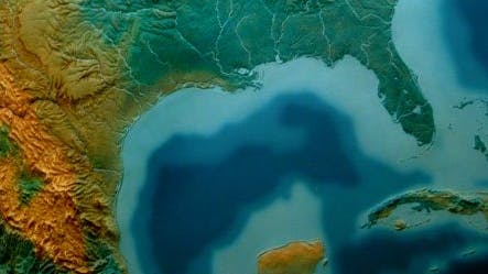 659efb699ba52a001e4b0c1b Gulf Of Mexico