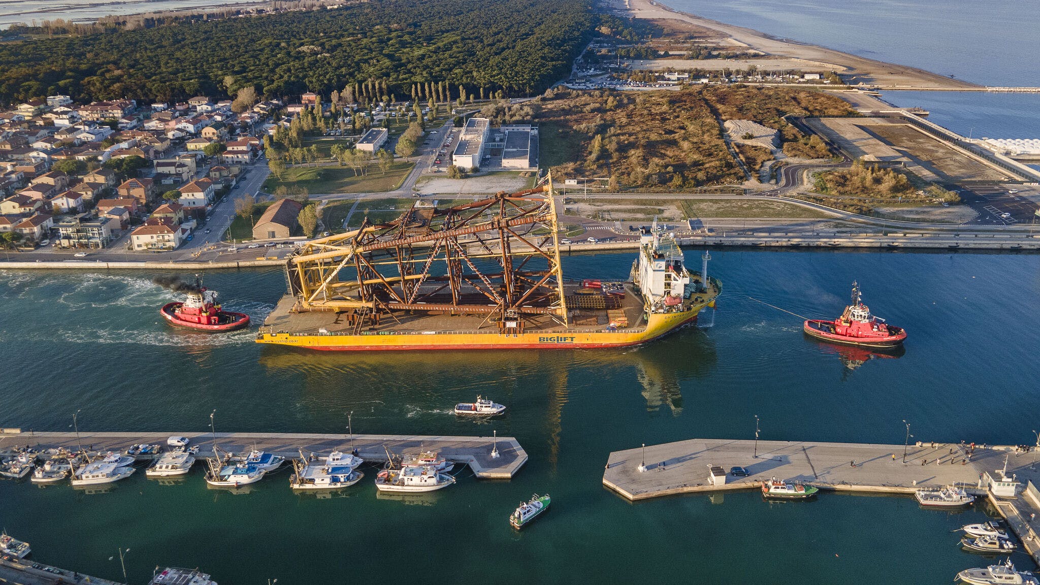 65a15362507ba3001e41946c Rosetti 1