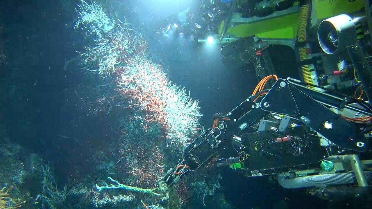 rov_survey_2 rov_survey_2