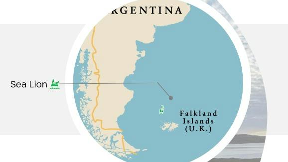 65aeb7ea2287a9001ecd7687 Sea Lion Navitas