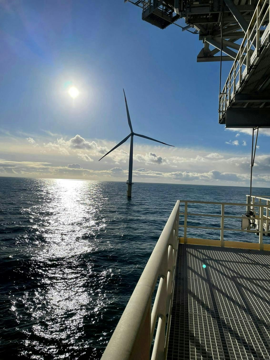 omexom_bild_12 omexom_bild_12