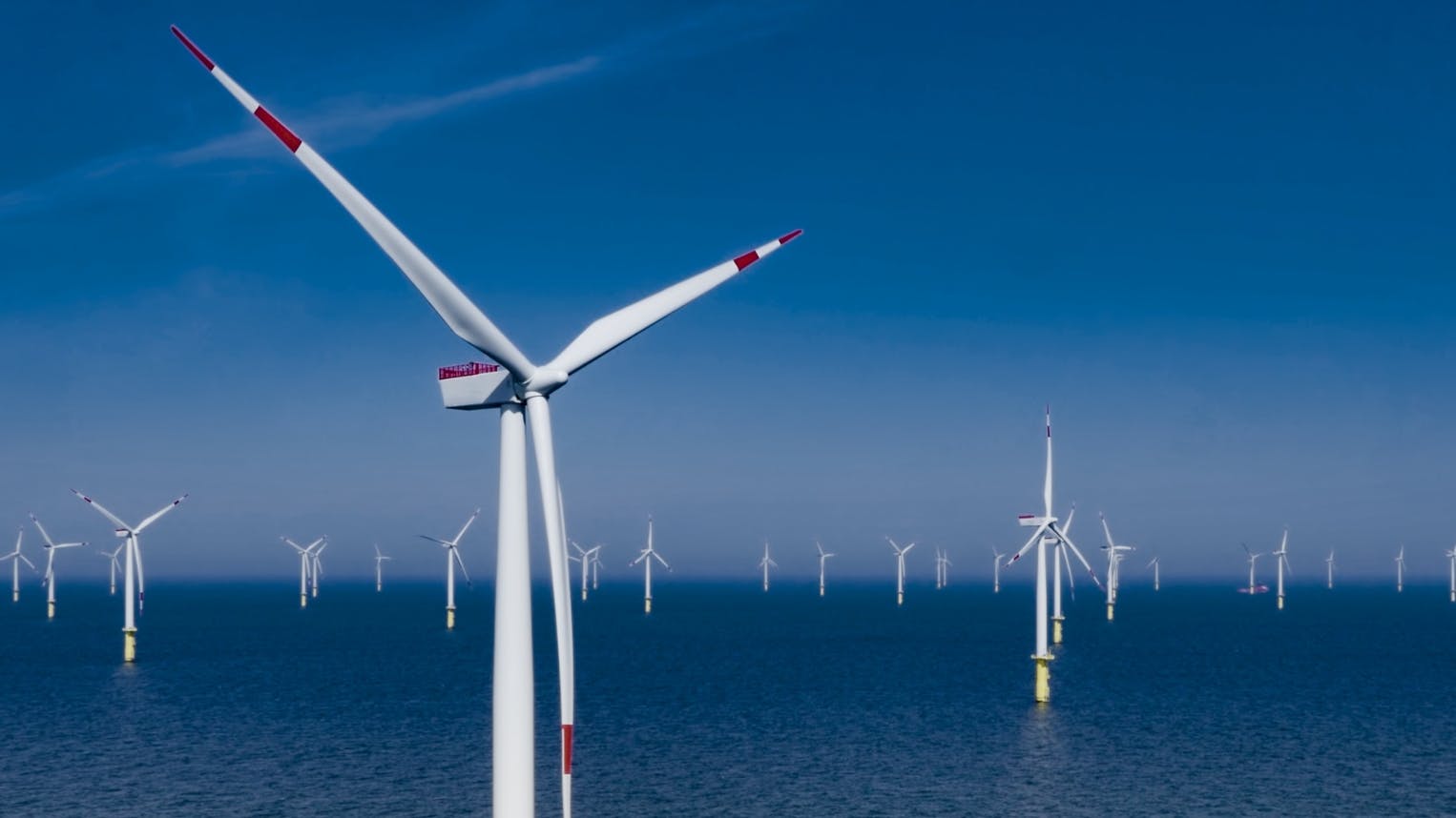 65b83995ea74cf001ef1dad1 Senerandfildravo