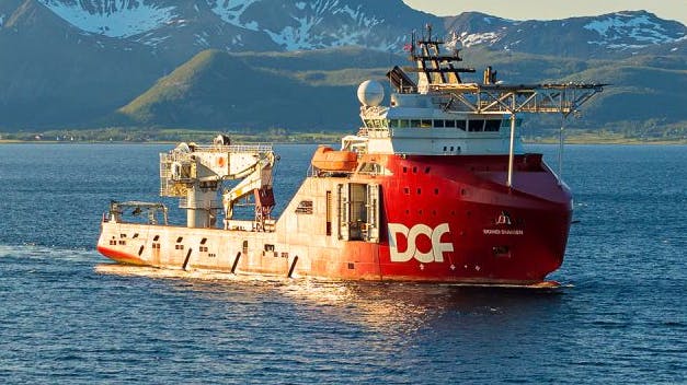 65ca8fc5f9a66a001f321b24 Dof