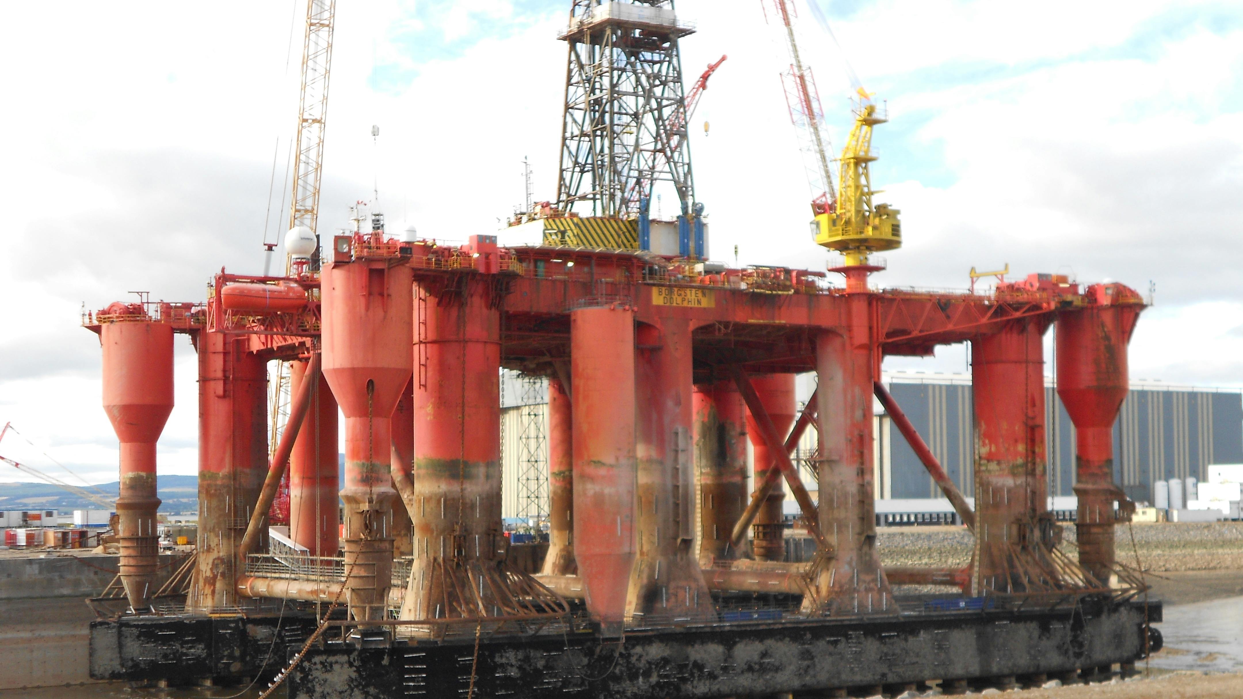 The Borgsten Dolphin