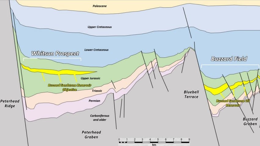 65d62aefd85696001ecff76a Whitsun And Buzzard