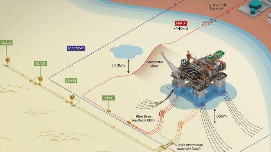 scarborough_field_layout