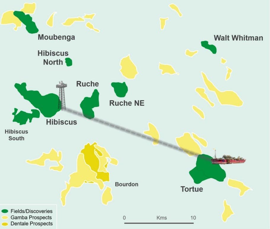 Hibiscus South's first oil is expected in March, less than five months after discovery in November 2023. Hibiscus South's first oil is expected in March, less than five months after discovery in November 2023.