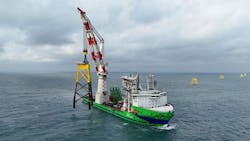 6603114c6d3118001ebc3010 Green Jade 6603114c6d3118001ebc3010 Green Jade