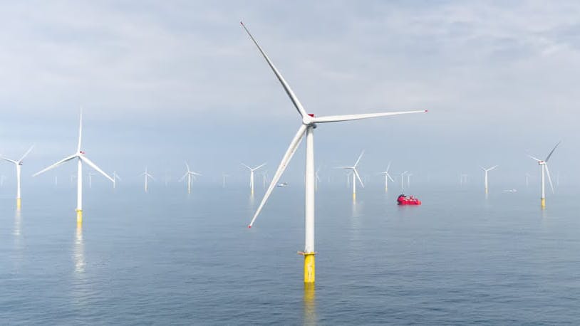 The Dogger Bank South wind farm is split across two separate sites, DBS East and DBS West, each with a capacity of 1.5 GW and span 500 sq km.