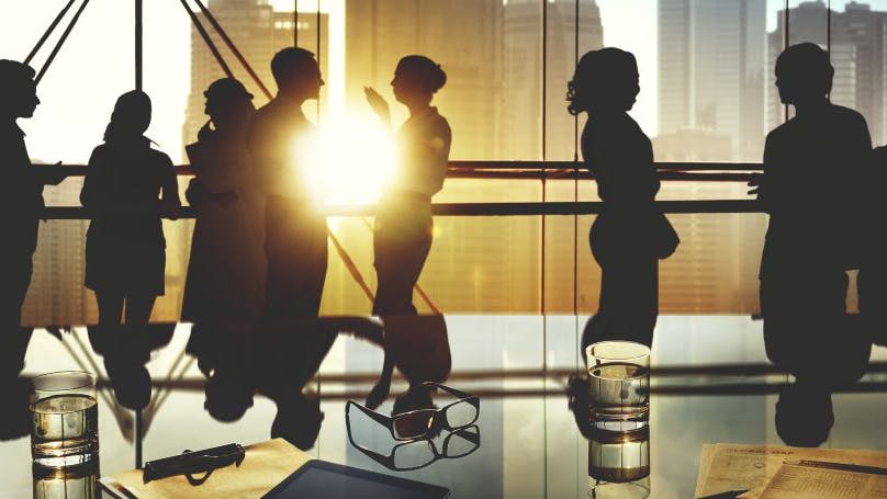 66310e94ca675f00081a5202 Senior Management