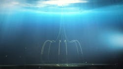 6633b3b358f9a60008000c2f Flexible Pipe 6633b3b358f9a60008000c2f Flexible Pipe