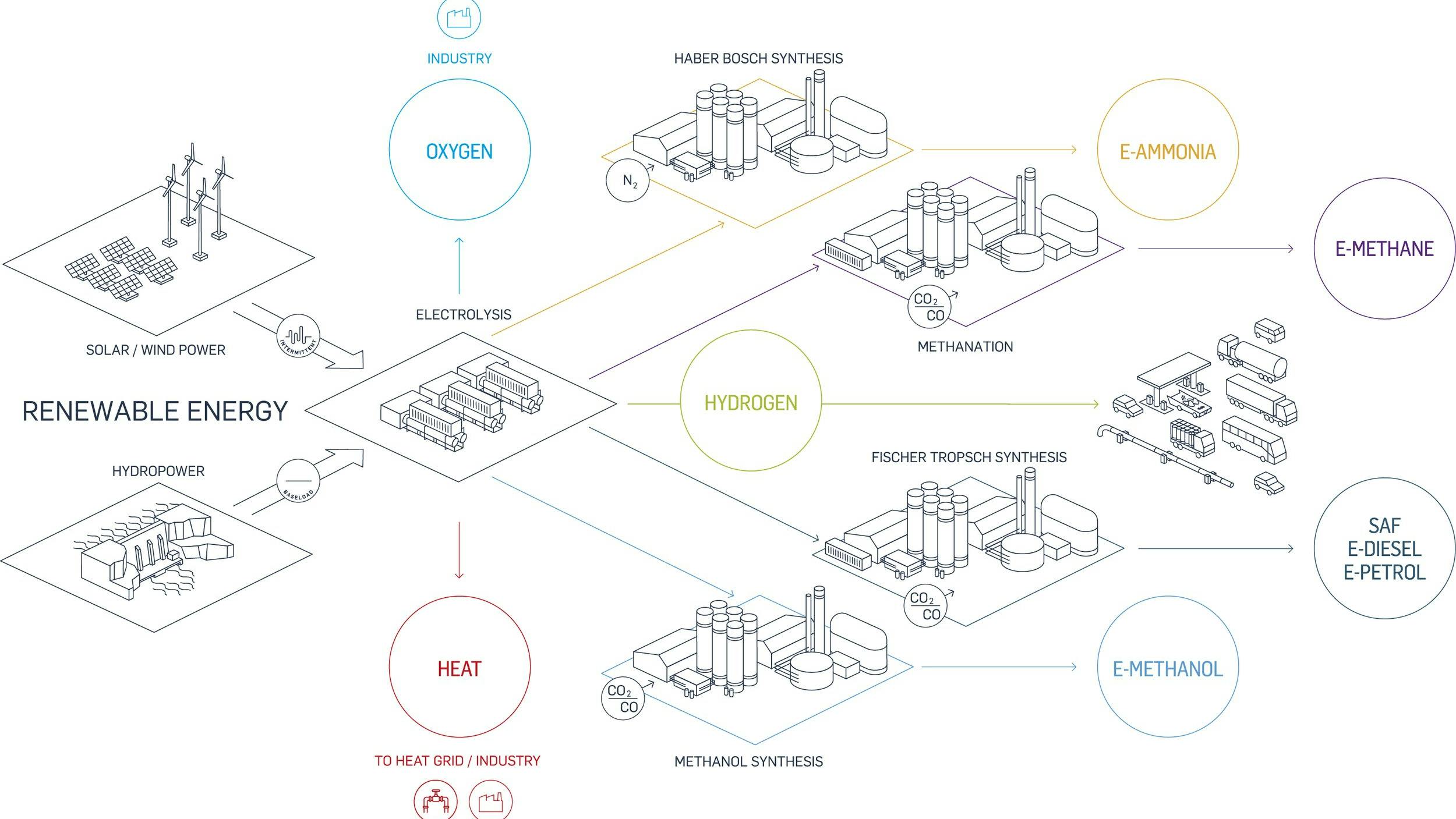 6646919846765b21a9a40c9d Hy2genillustration