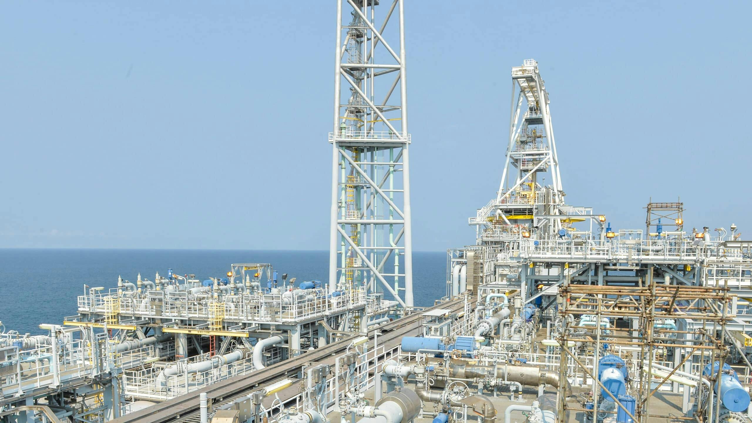 psvmplantazule_energy