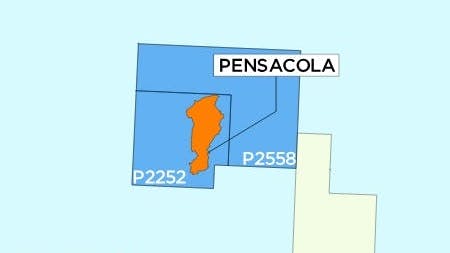 Deltic's licenses are highlighted in blue, with other license blocks in beige.