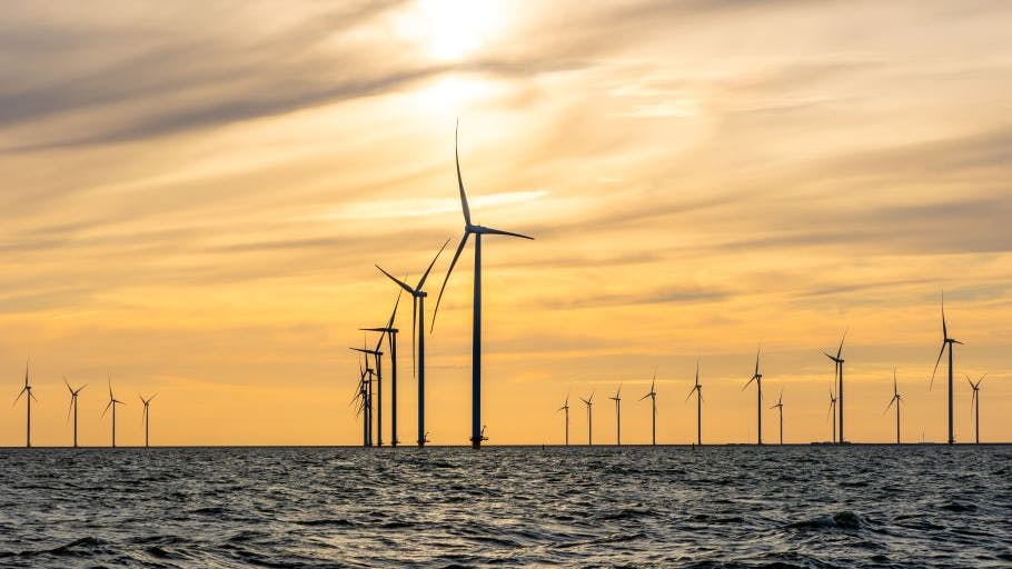 665f3ee431a052956e763305 Shutterstock 2351353701