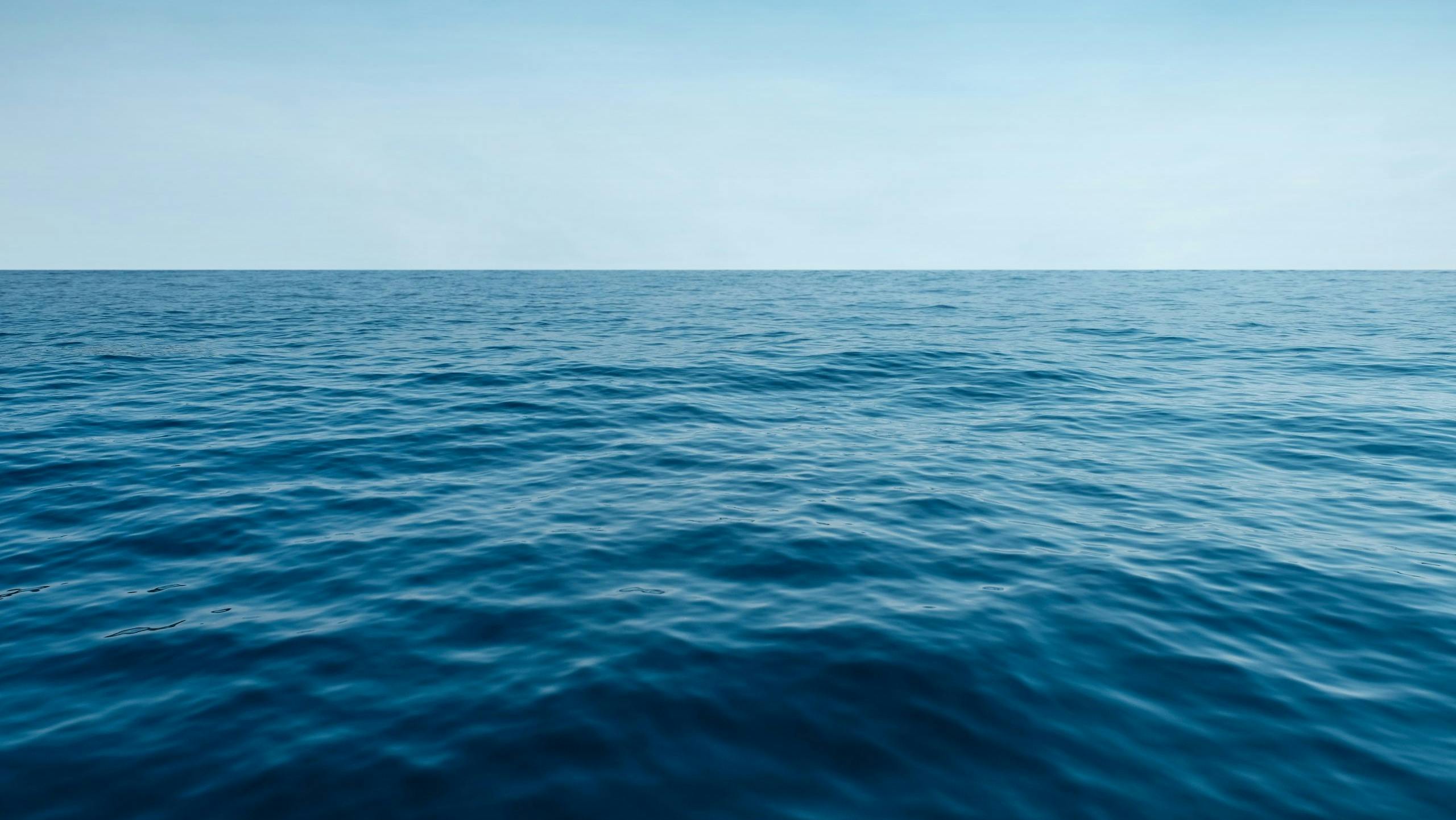 shutterstock_732239959scaled