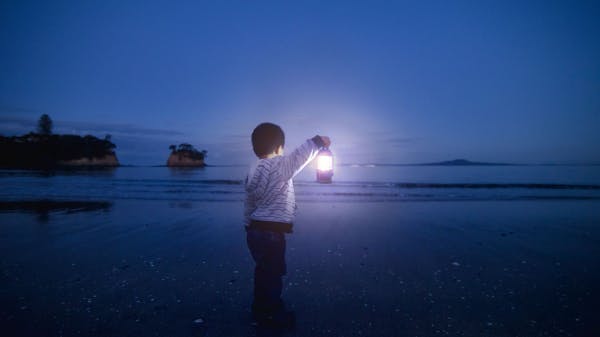 6667397764da48aa5bbb8c01 New Zealand Offshore Exploration