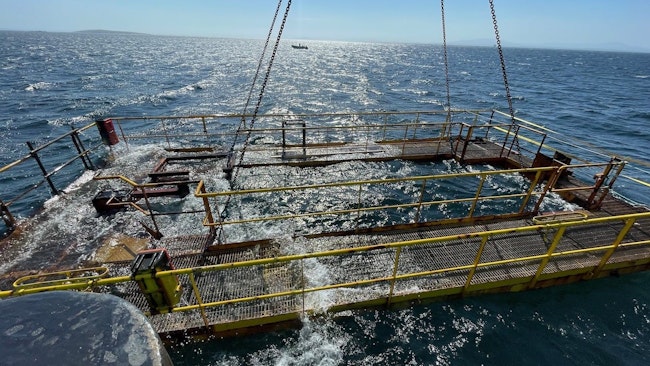 666a03c843d55f2f7e58637b Main Grid Resting In The Water