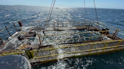 main_grid_resting_in_the_water main_grid_resting_in_the_water