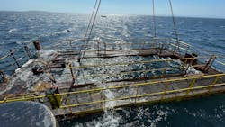 666a03c843d55f2f7e58637b Main Grid Resting In The Water 666a03c843d55f2f7e58637b Main Grid Resting In The Water