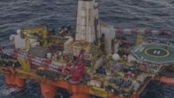 666c6dabedf2f62d7e545854 Dolphin Leader 666c6dabedf2f62d7e545854 Dolphin Leader