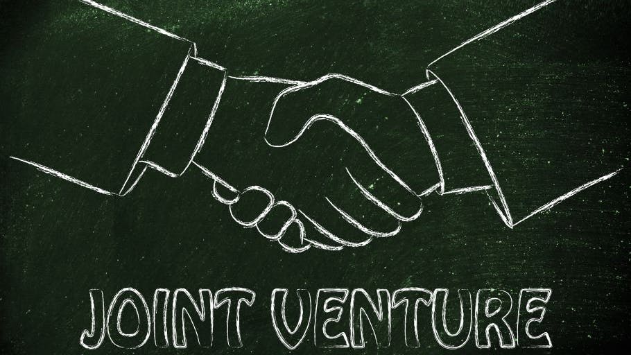 6674b3299a1c8bb18ca5986b Joint Venture