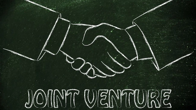 6674b3299a1c8bb18ca5986b Joint Venture