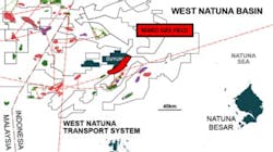 Mako contains 2C resources of 376 Bcf and could start production in 2026. Mako contains 2C resources of 376 Bcf and could start production in 2026.