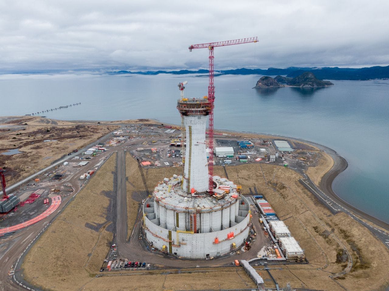 west_white_rose_1 west_white_rose_1