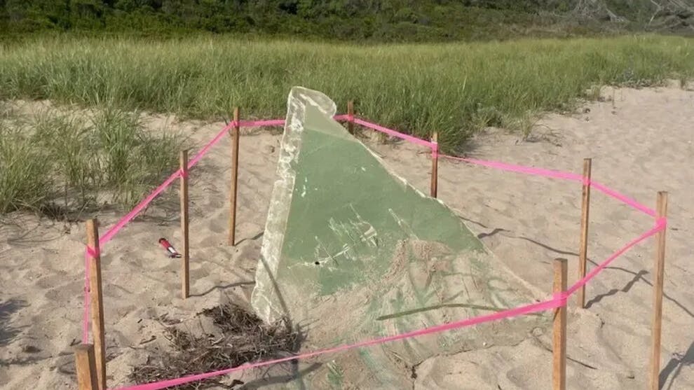 A piece of Vineyard Wind's GE Vernova Haliade-X turbine blade washed up on Nantucket's south shore.