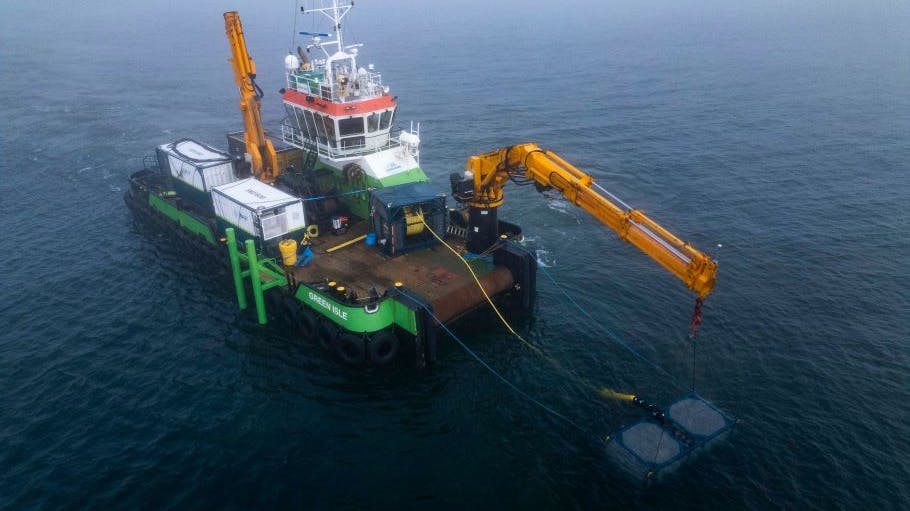 OEG Renewables businesses 23 Degrees Renewables and SEAJET have successfully completed a cable burial campaign for Nexans.