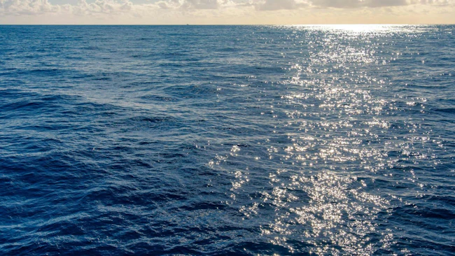 Petrobras signs 26 concession contracts in the Pelotas Basin