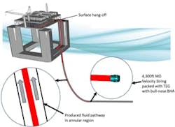 IRVS simplified schematic. IRVS simplified schematic.