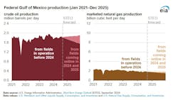 EIA says that new fields in US Gulf of Mexico to offset production decline EIA says that new fields in US Gulf of Mexico to offset production decline