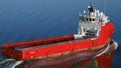 skandi_feistein_psv skandi_feistein_psv