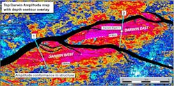 Top reservoir amplitude map of the Darwin gas-condensate discovery Top reservoir amplitude map of the Darwin gas-condensate discovery