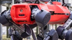 ANYmal robot ANYmal robot