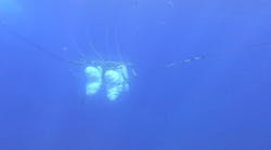 Submerged and Rotated Gemini Ports Submerged and Rotated Gemini Ports