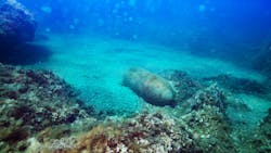 Unexploded marine ordnance survey Unexploded marine ordnance survey